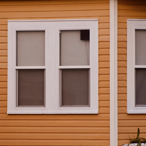 minimal-windows-and-home-architectural-design-2024-12-06-04-13-02-utc